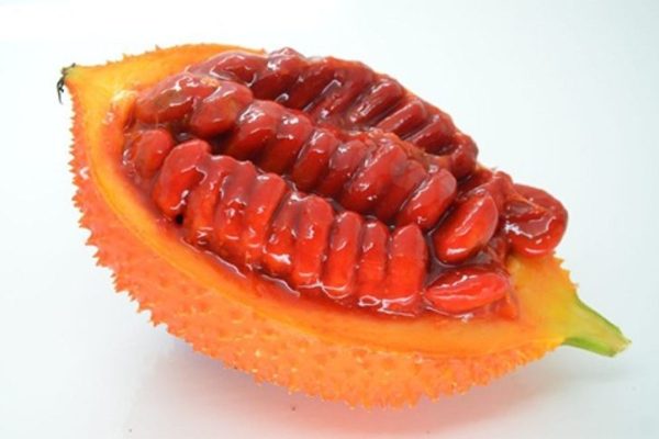 Fruit