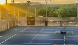 วิเคราะห์พื้นผิวสนามเทนนิส ufabet: คู่มือครบวงจรสำหรับนักเดิมพัน